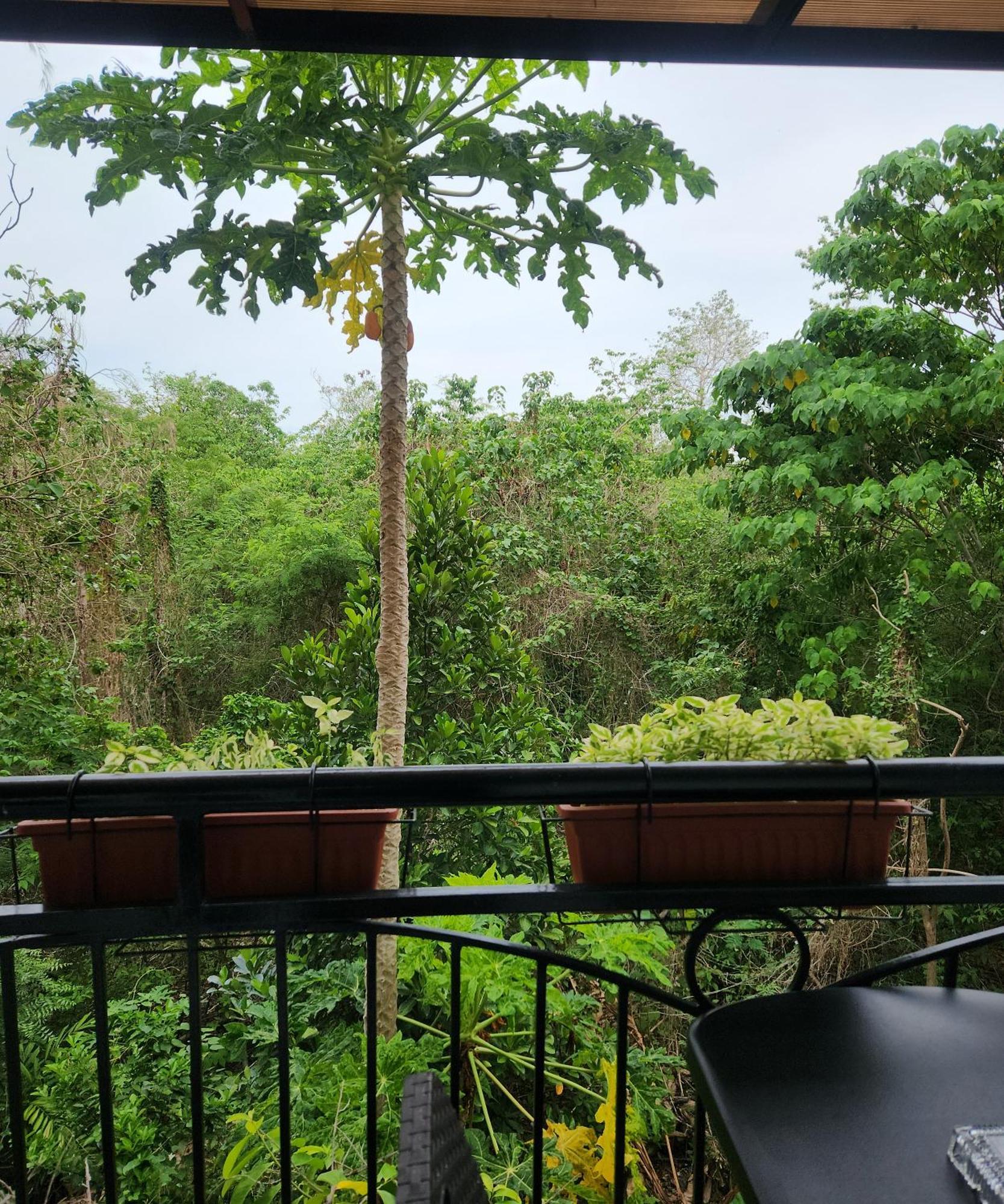 Condo Azur Suites B316 Near Airport, Netflix, Stylish, Cozy With Swimming Pool Lapu-Lapu City Bagian luar foto